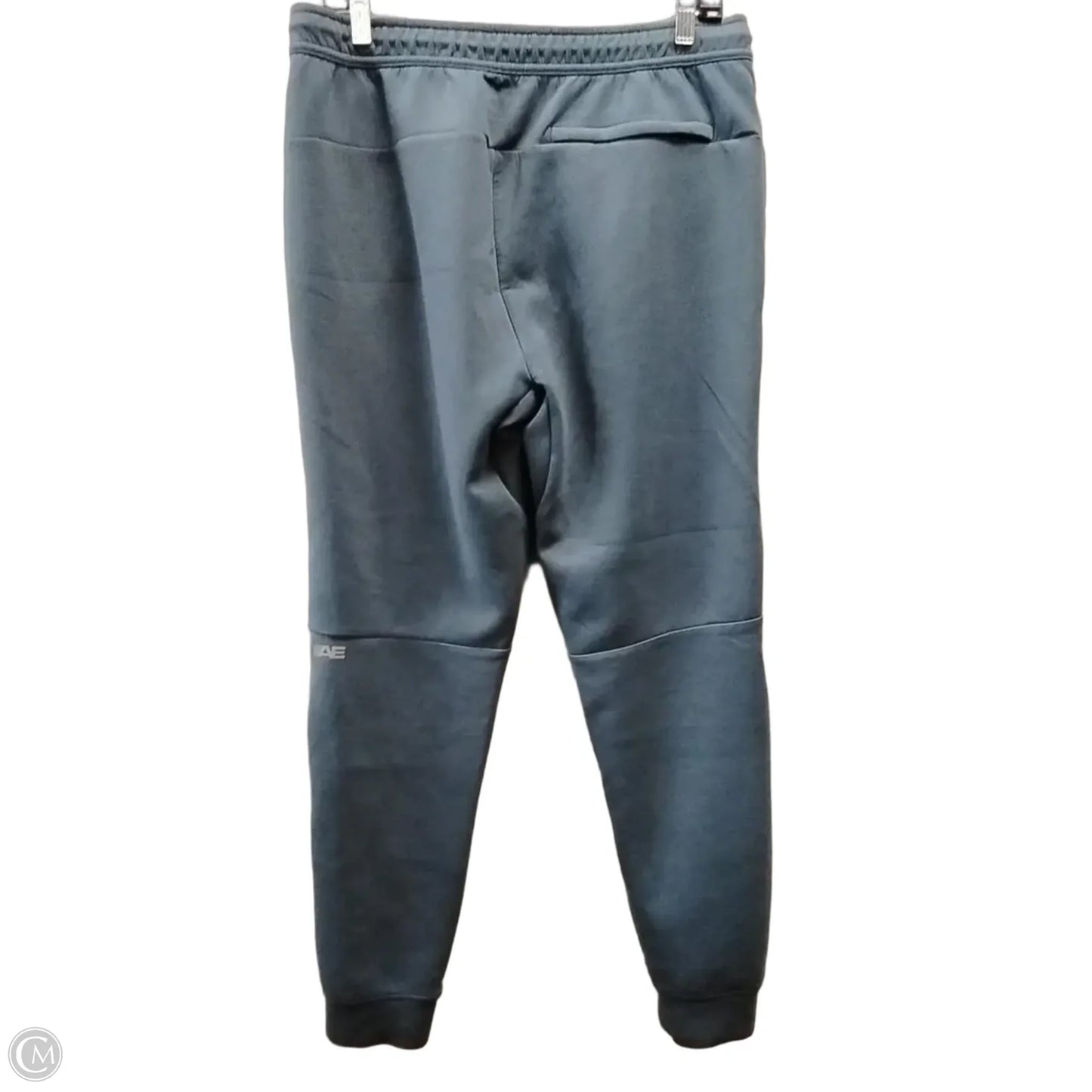 Athletic Pants By American Eagle In Blue, Size: M
