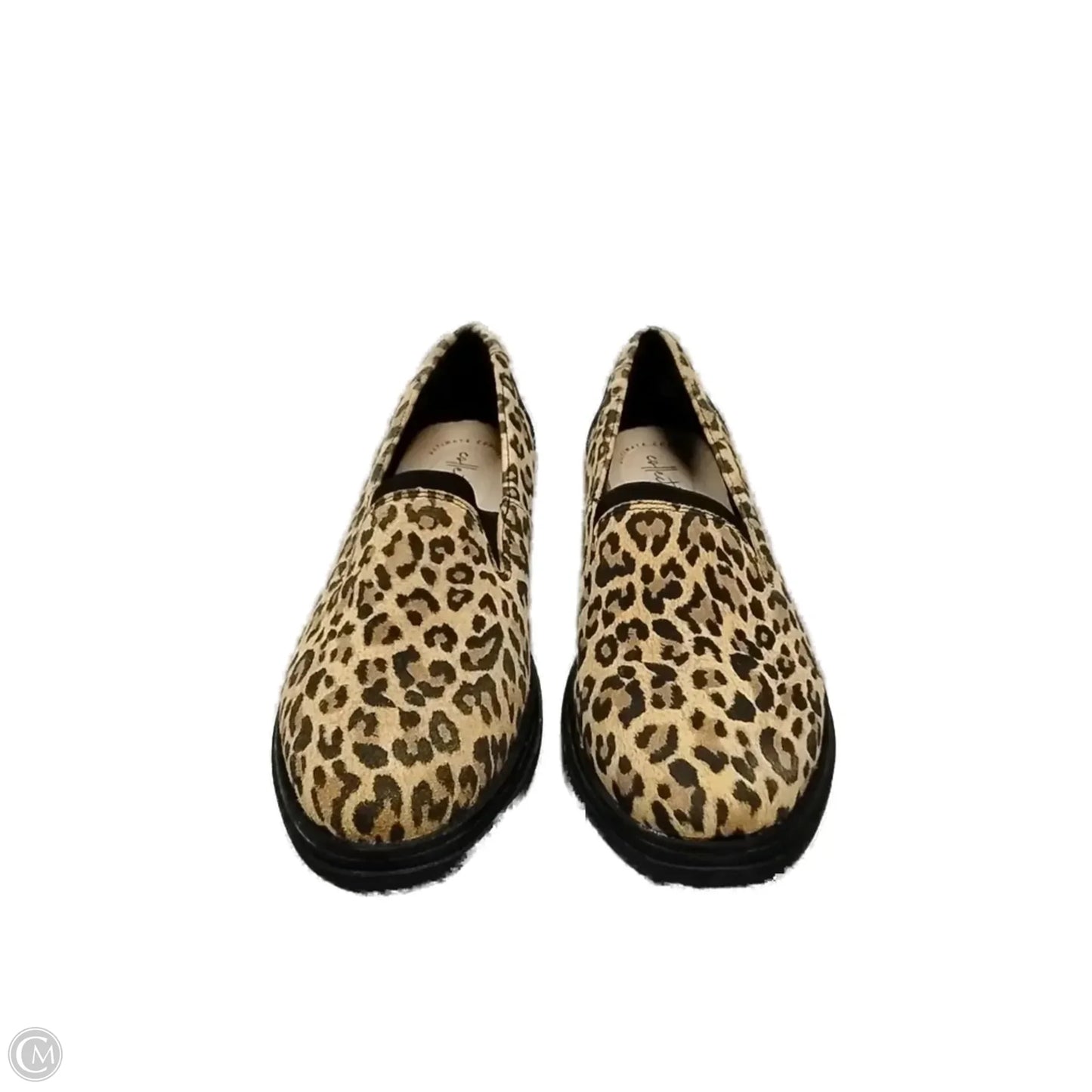 Shoes Flats By Clarks In Leopard Print, Size: 9