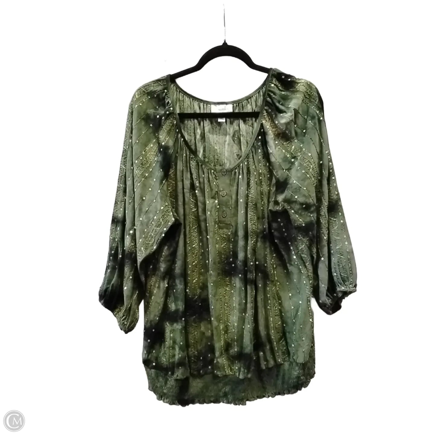 Blouse Long Sleeve By Dressbarn In Green, Size: 2x