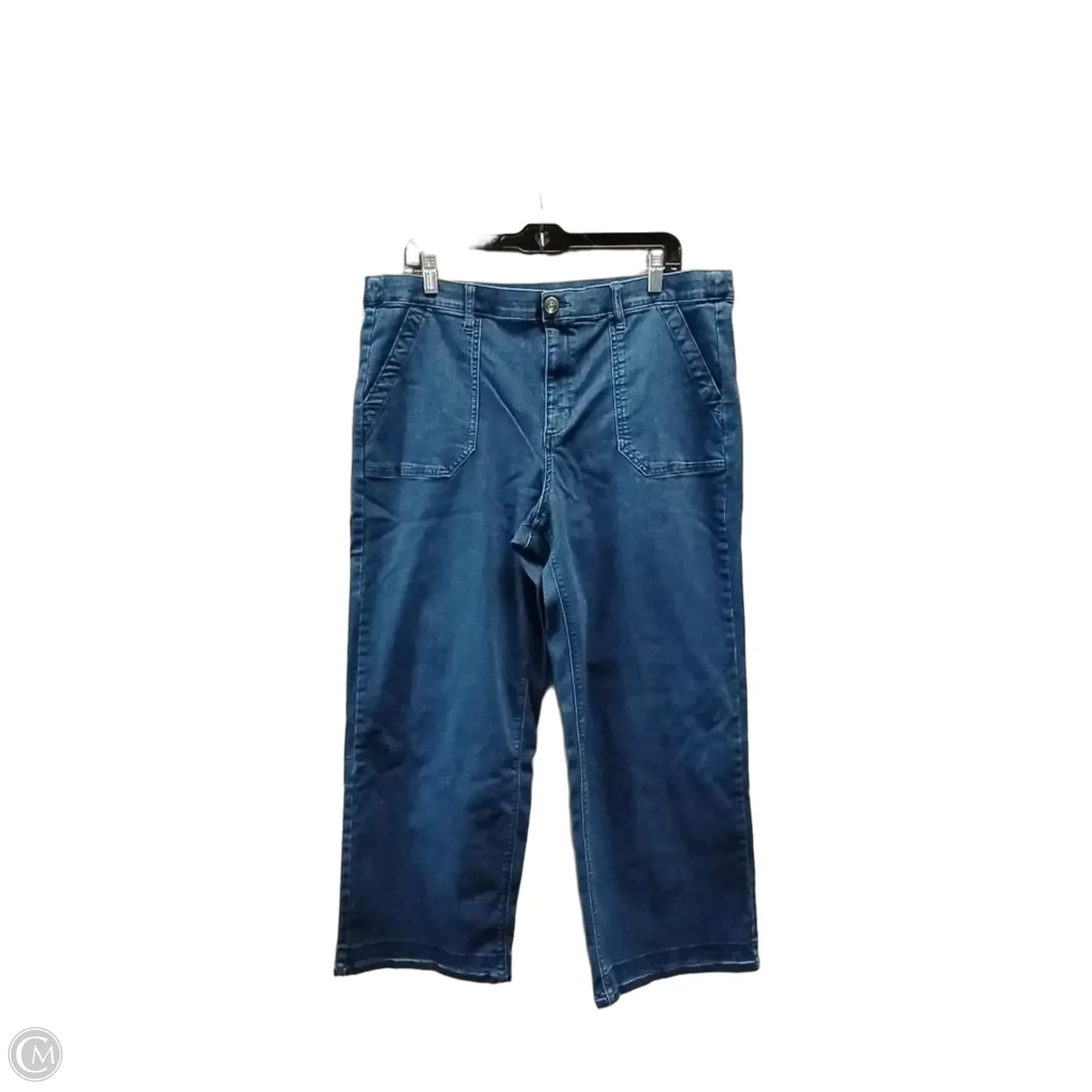 Jeans Skinny By Intro In Blue, Size: 16