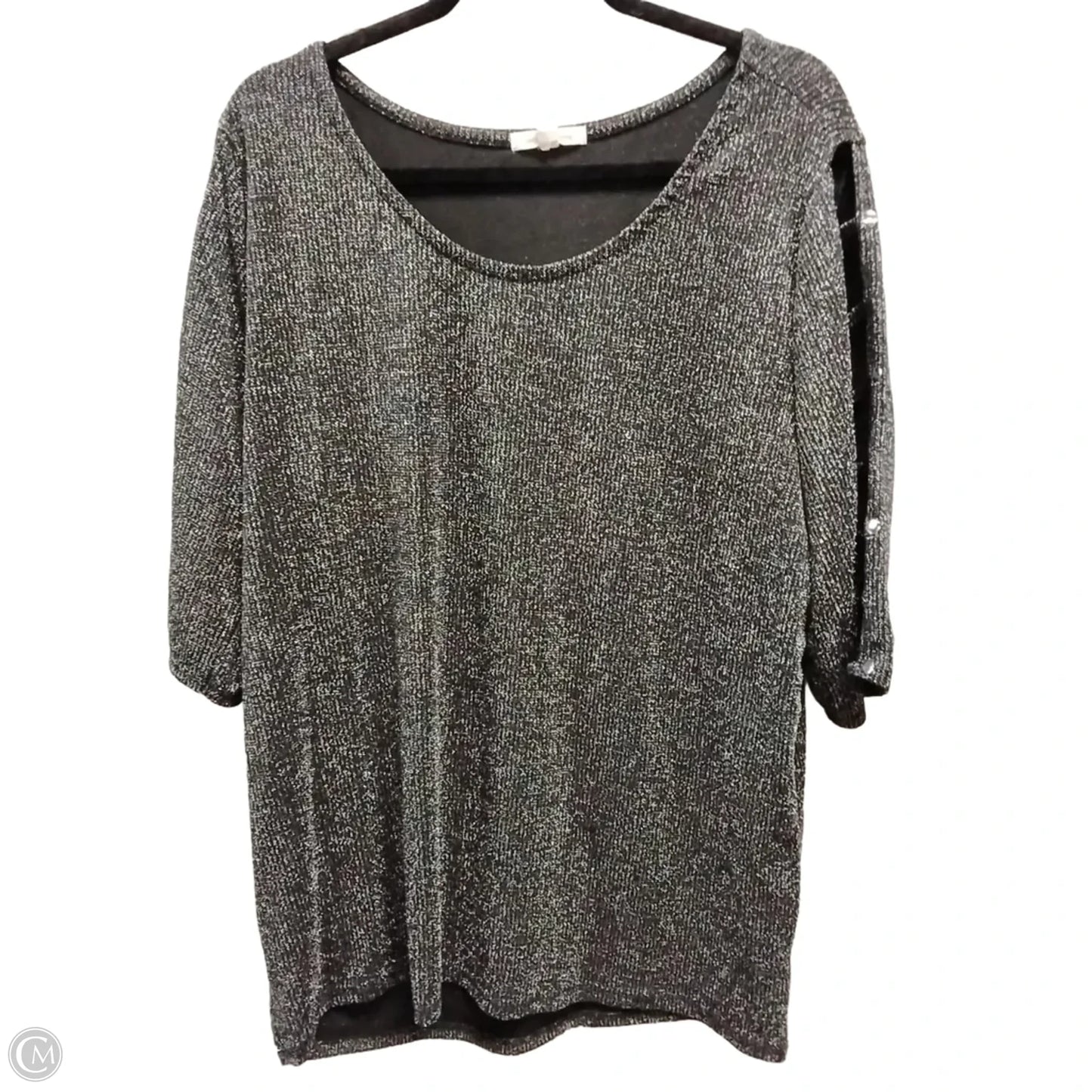 Blouse Long Sleeve By Clothes Mentor In Silver, Size: 2x