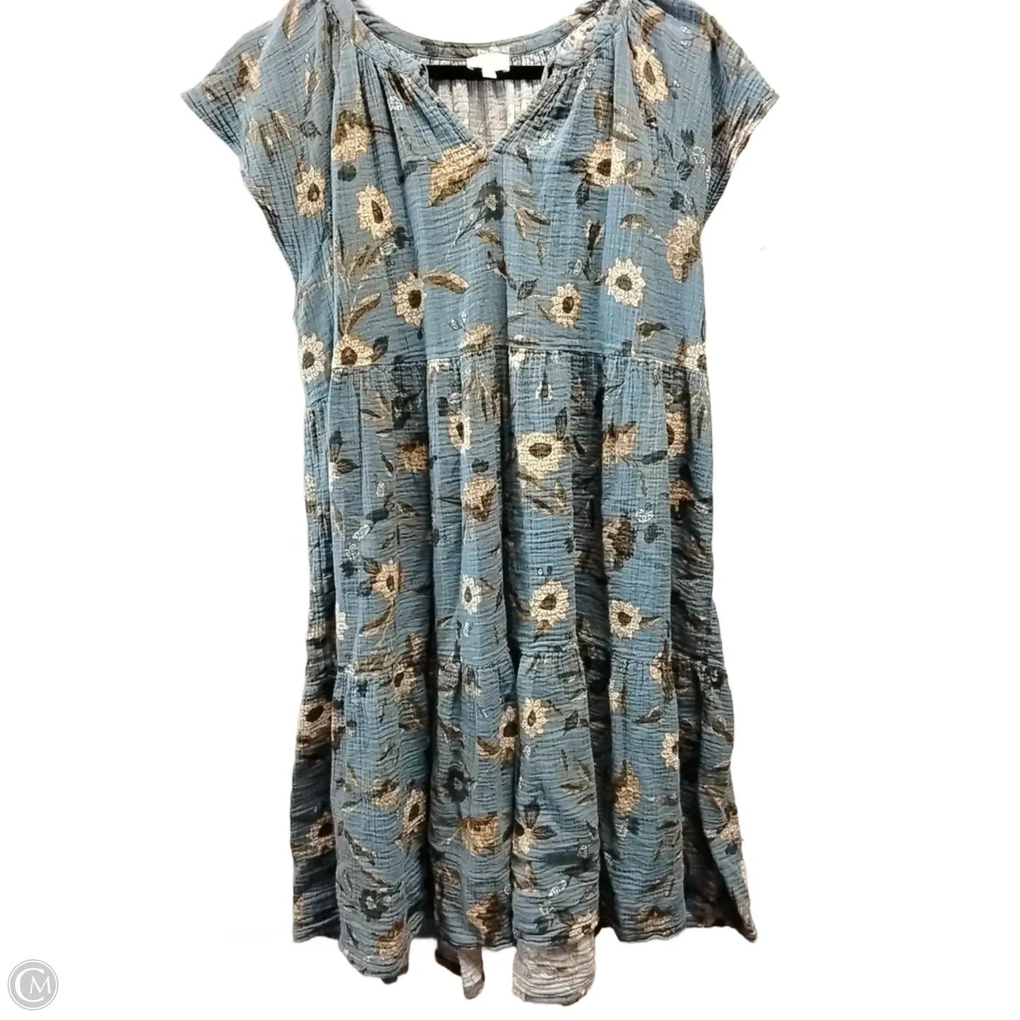 Dress Casual Maxi By Wonderly In Floral Print, Size: 2x