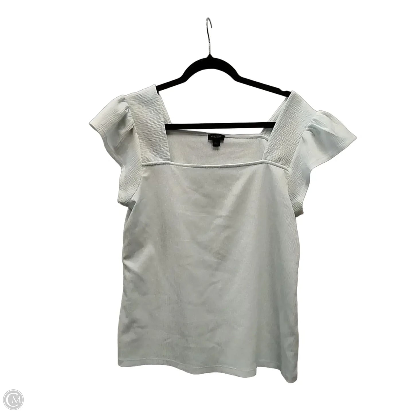 Top Short Sleeve By Ann Taylor In Aqua, Size: L