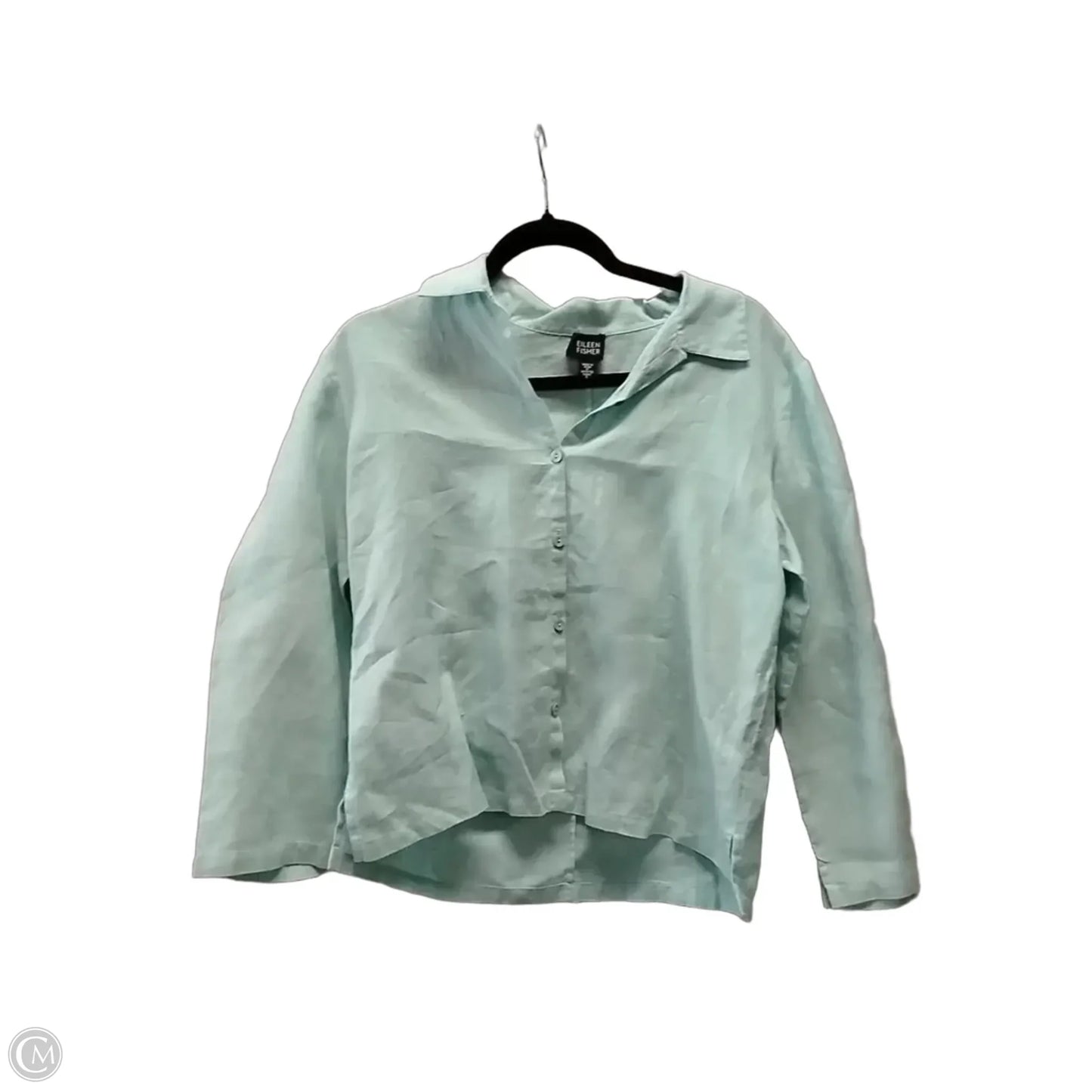 Blouse Long Sleeve By Eileen Fisher In Teal, Size: S
