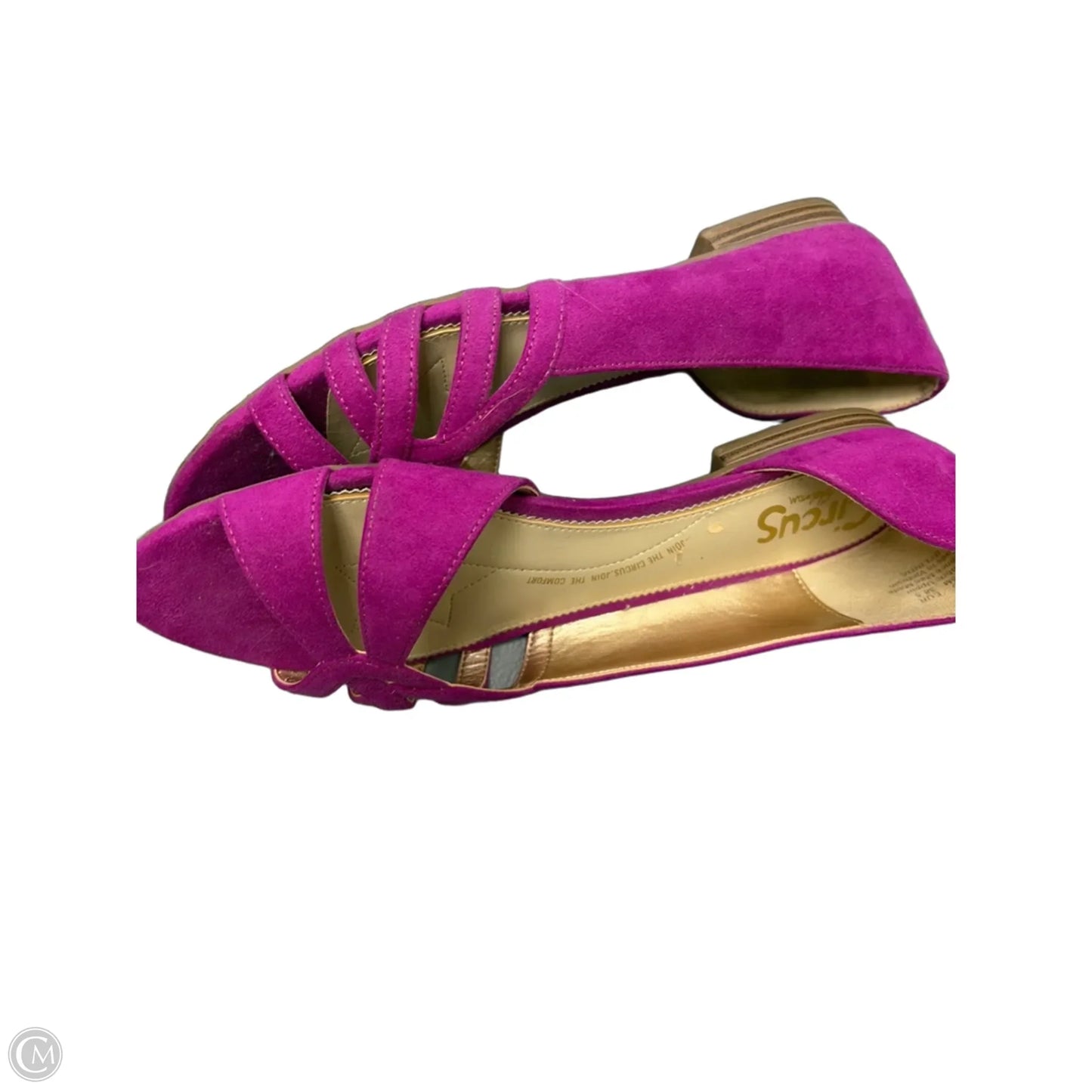 Shoes Flats By Circus By Sam Edelman In Purple, Size: 8.5