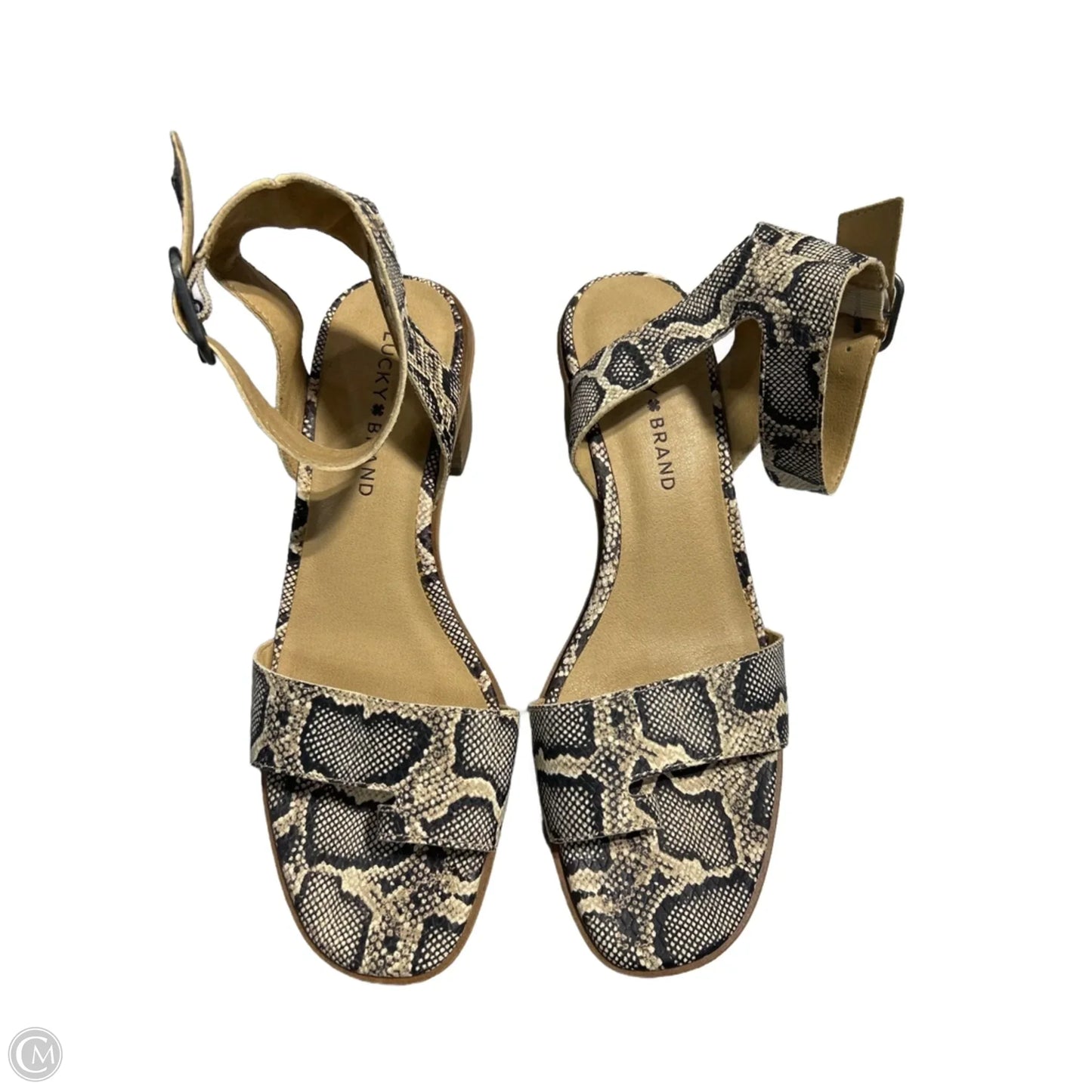 Shoes Heels Block By Lucky Brand In Snakeskin Print, Size: 8.5