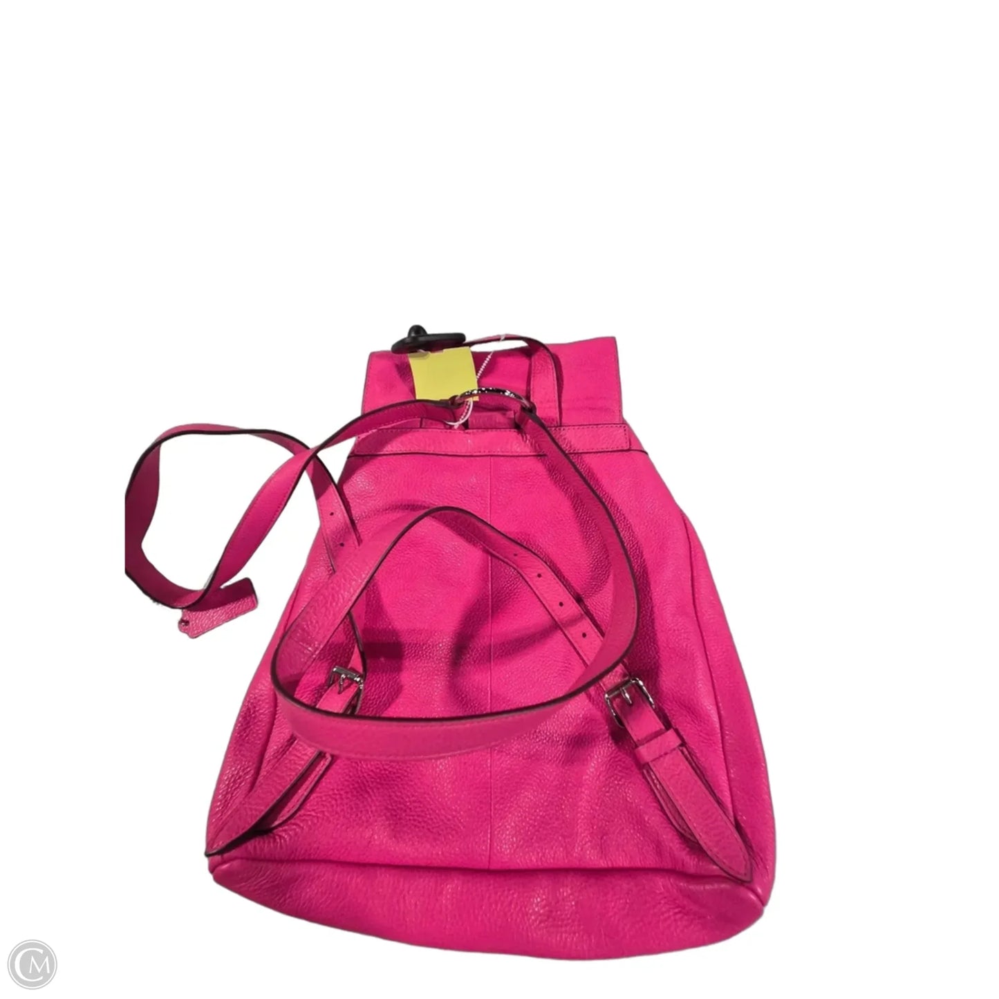 Backpack Designer By Coach, Size: Medium