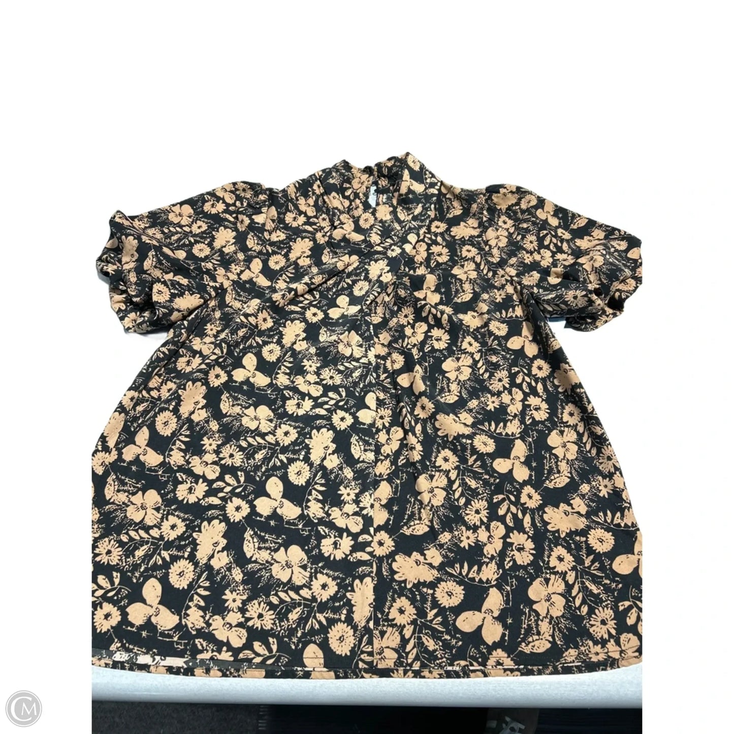 Top Short Sleeve By Entro In Black, Size: L