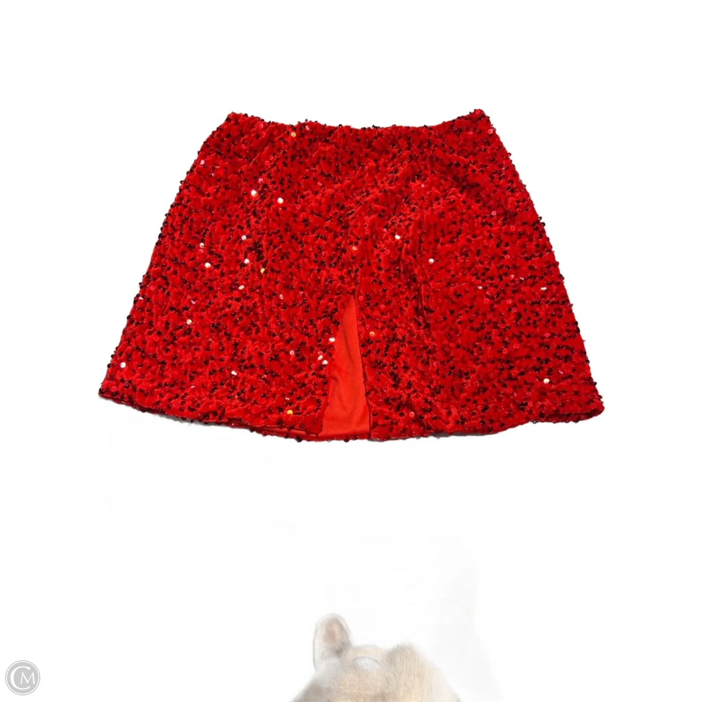 Skirt Mini & Short By Cmc In Red, Size: M
