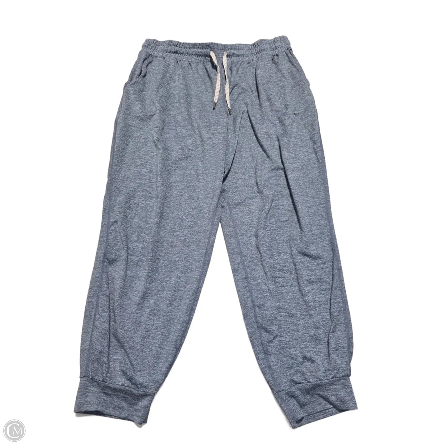 Athletic Pants By Kirkland In Blue, Size: L