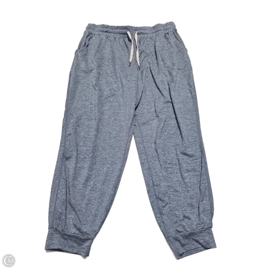 Athletic Pants By Kirkland In Blue, Size: L