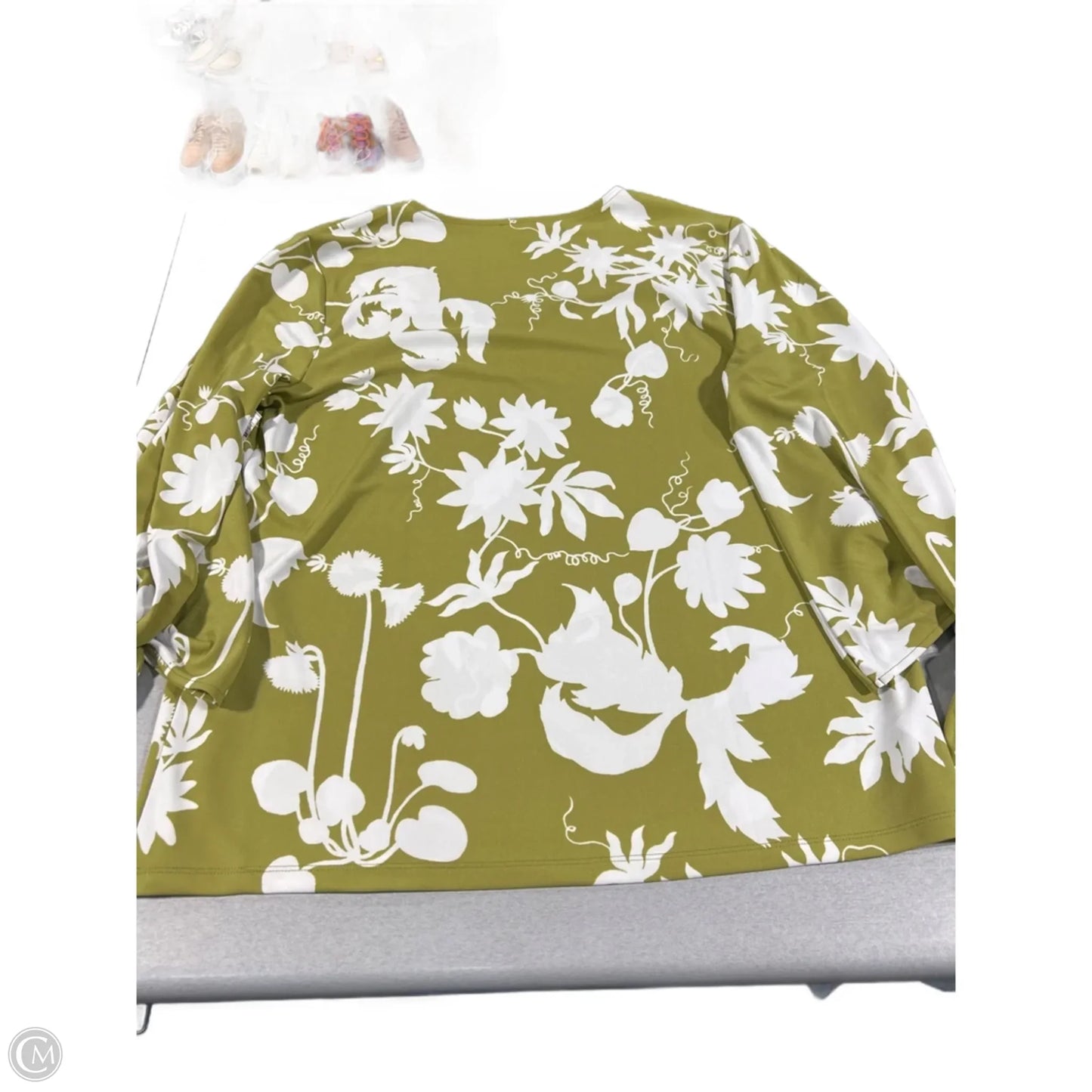 Top Long Sleeve By Ann Taylor In Green & White, Size: Xl