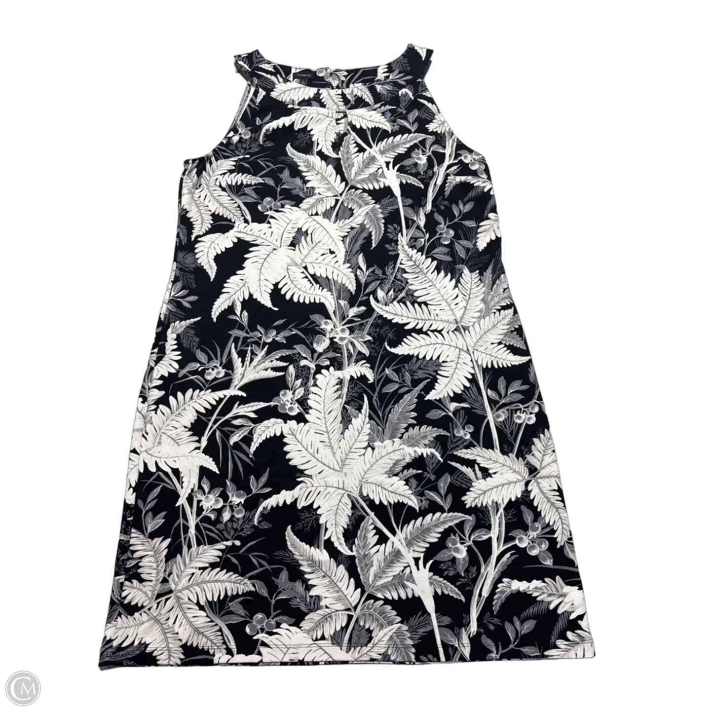Dress Casual Short By Talbots In Black, Size: Xl