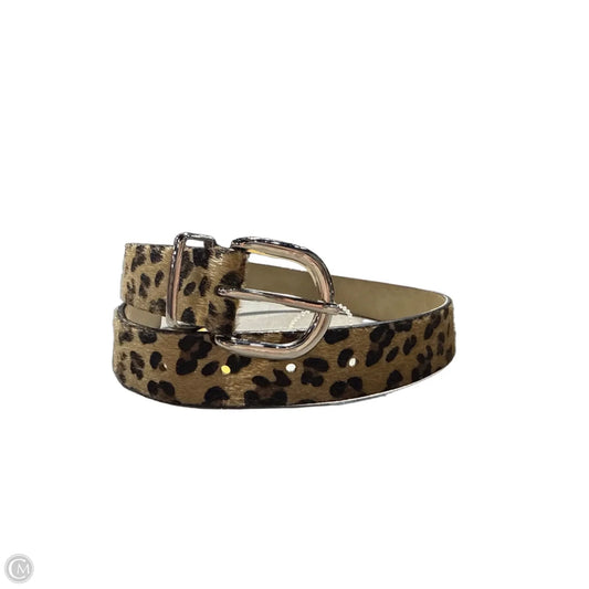 Belt By Cmc