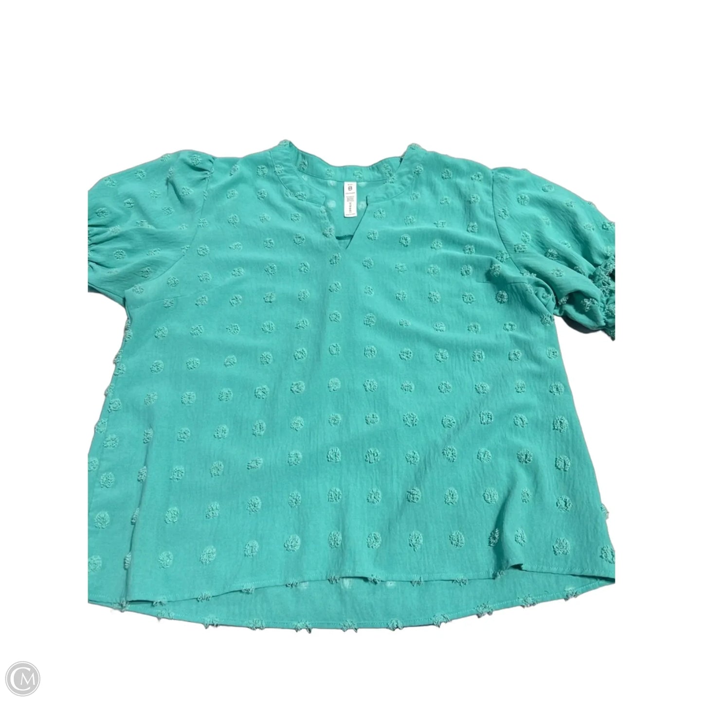 Top Short Sleeve By Clothes Mentor In Teal, Size: Xxl
