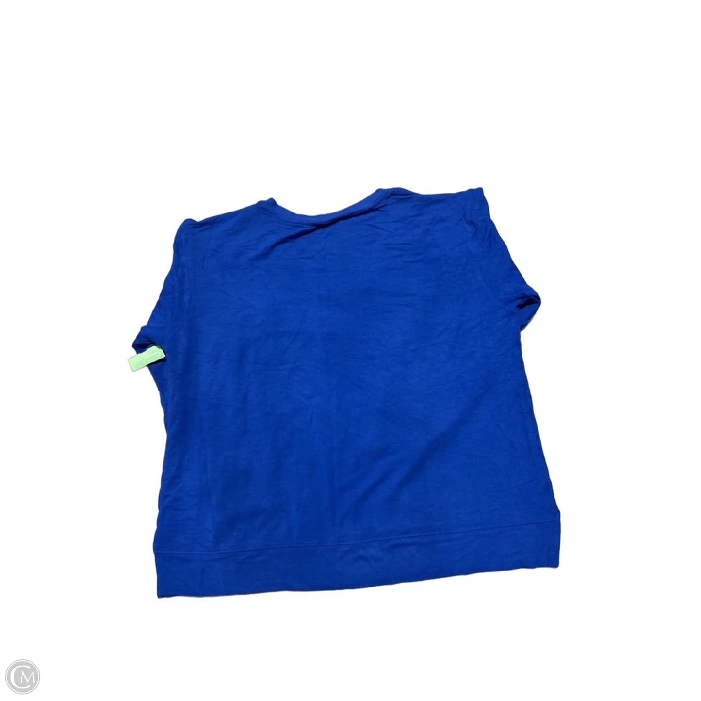 Top Long Sleeve By Workshop In Blue, Size: 2x