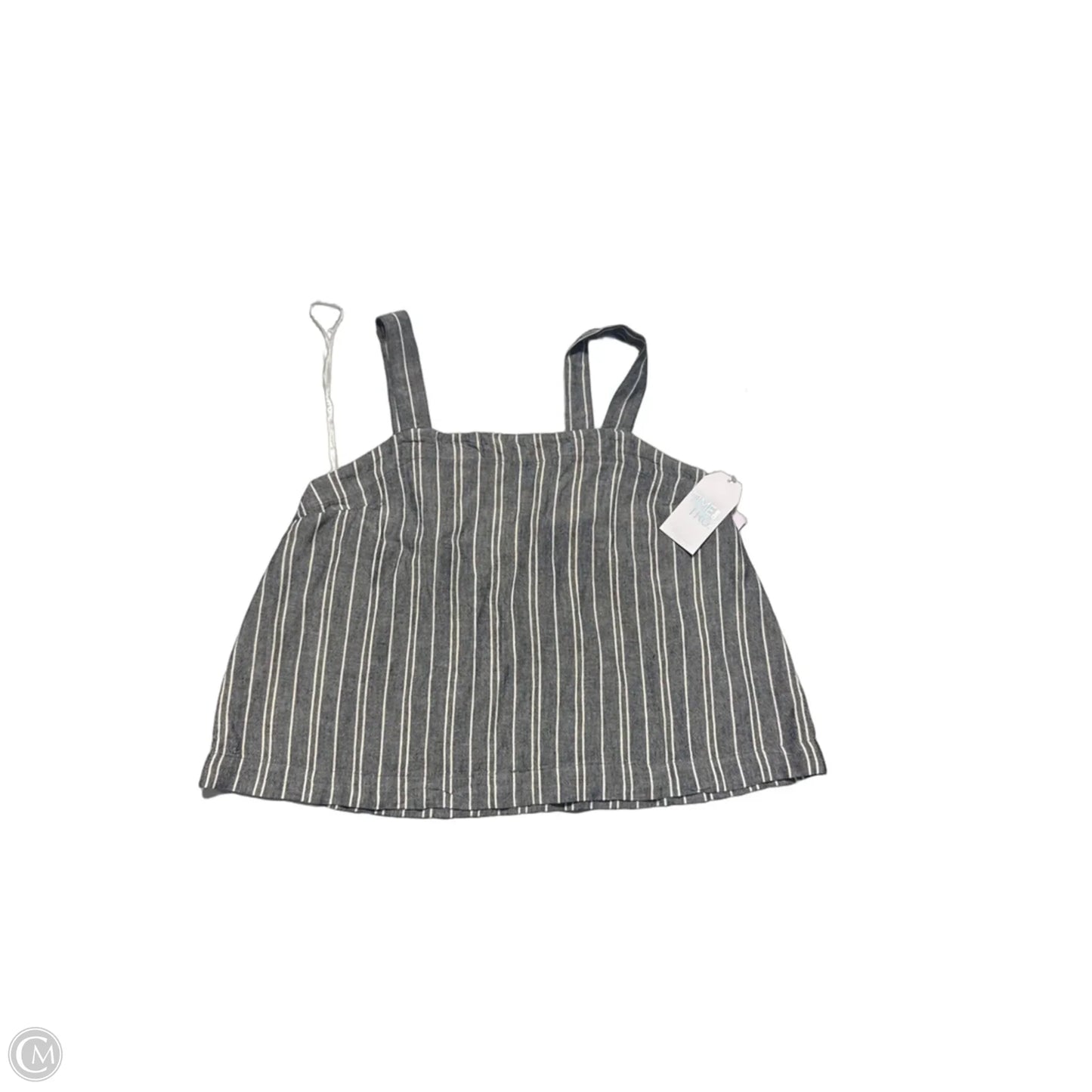 Tank Top By Time And Tru In Grey & White, Size: Xxl