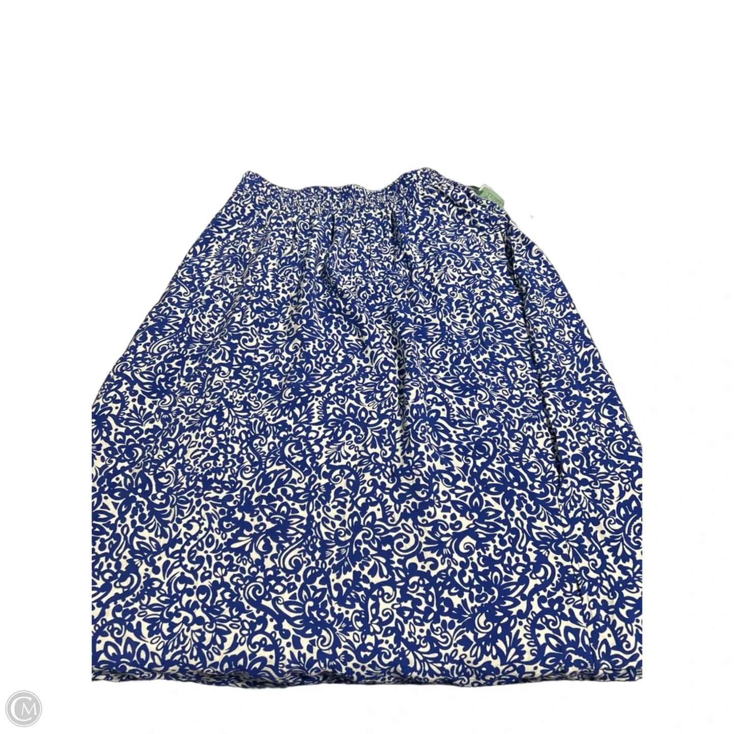 Skirt Maxi By Terra & Sky In Blue & White, Size: L