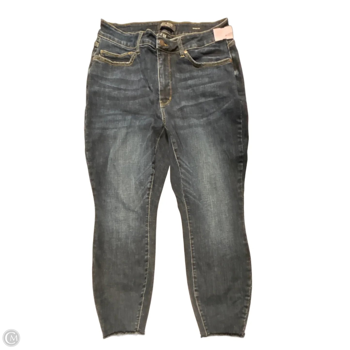 Jeans Skinny By Judy Blue In Blue Denim, Size: 16