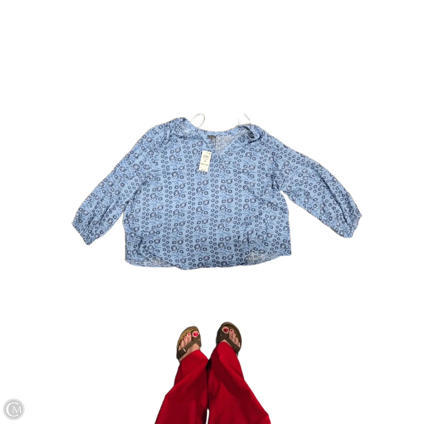 Top Long Sleeve By Style And Company In Blue, Size: 3x