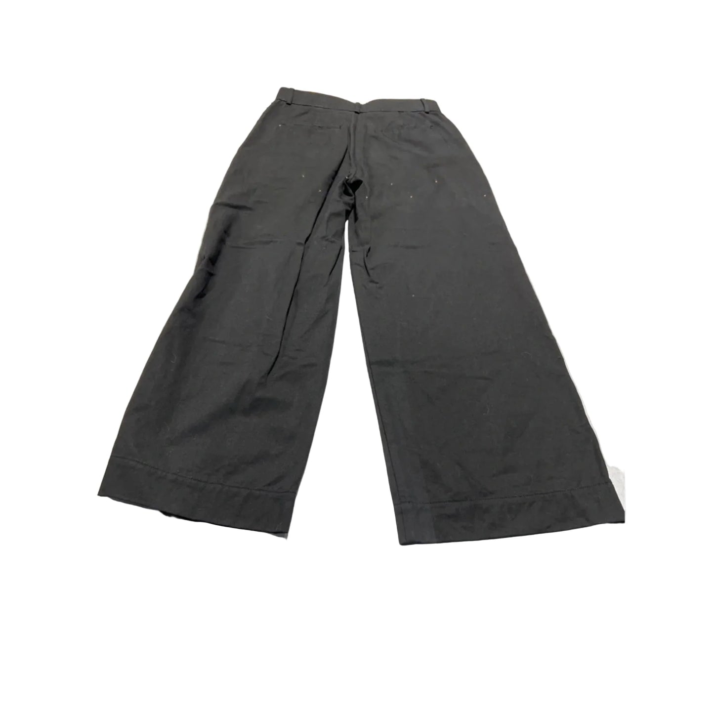 Pants Chinos & Khakis By Everlane In Black, Size: 8