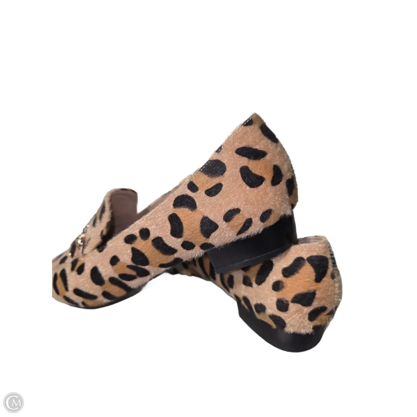 Shoes Flats By Cme In Animal Print, Size: 10.5