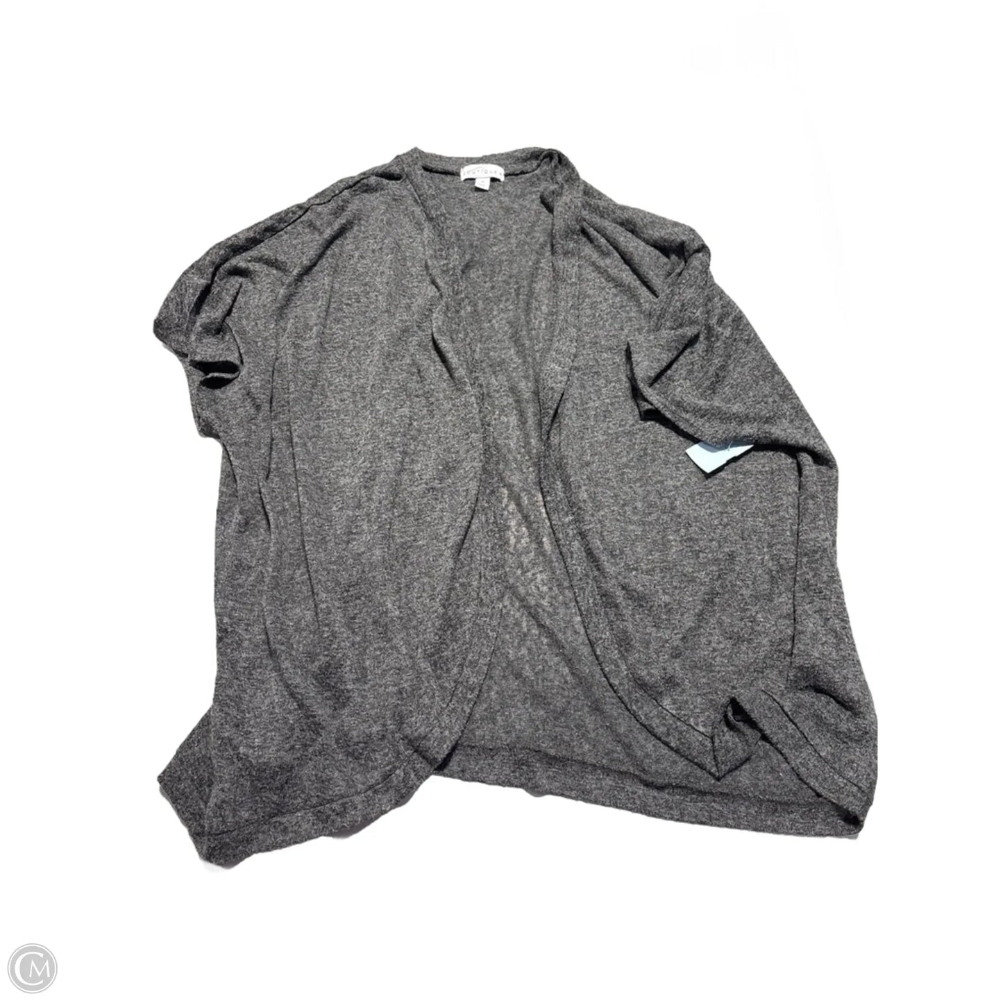Cardigan By Boutique + In Grey, Size: 3x