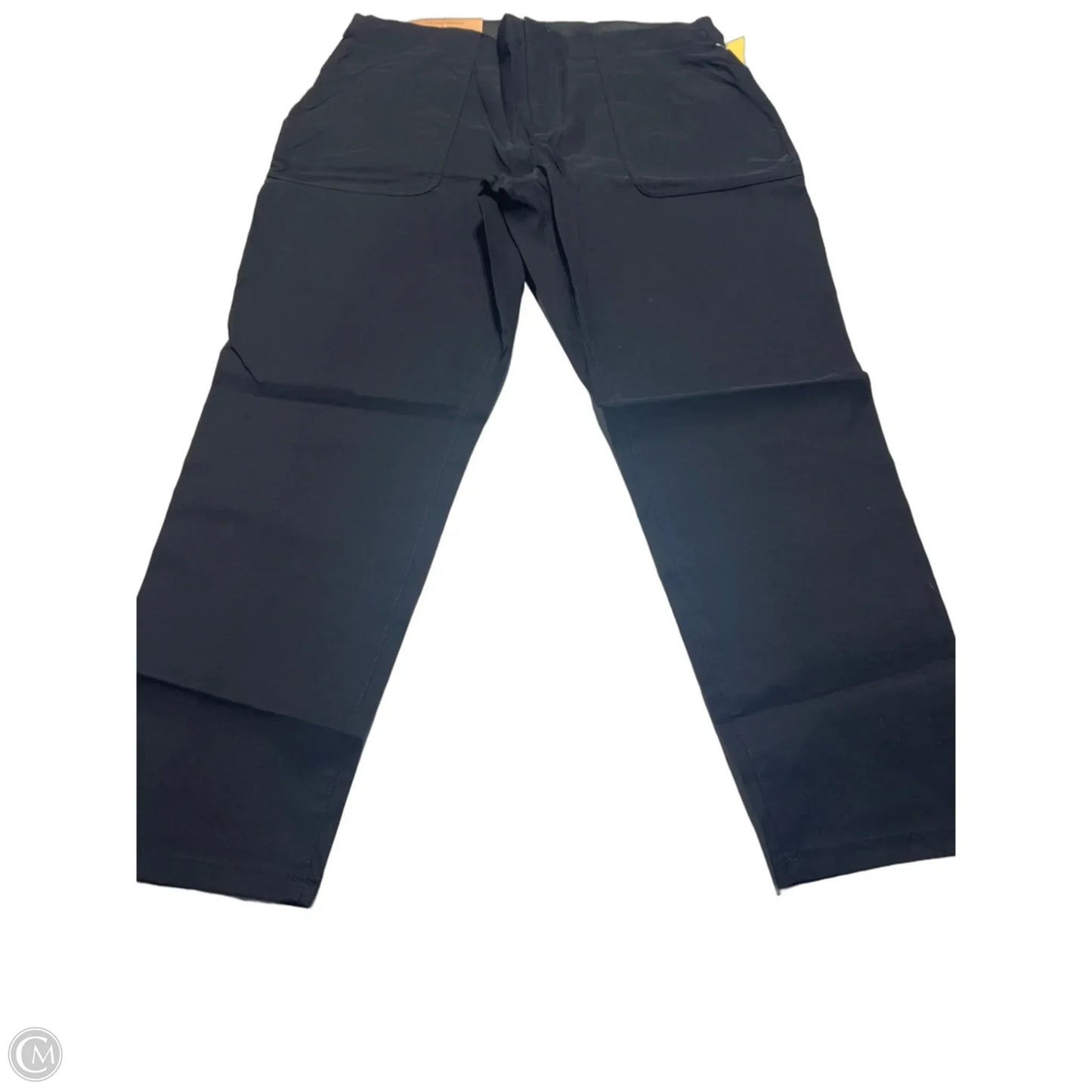 Pants Cargo & Utility By Eddie Bauer In Black, Size: 14