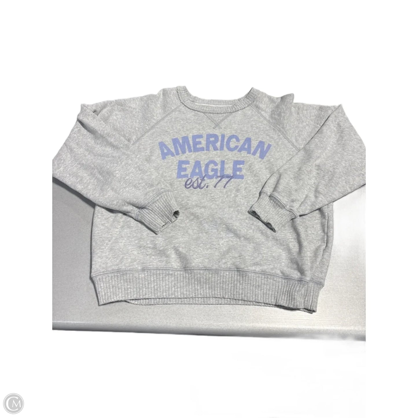 Sweatshirt Crewneck By American Eagle In Grey, Size: M