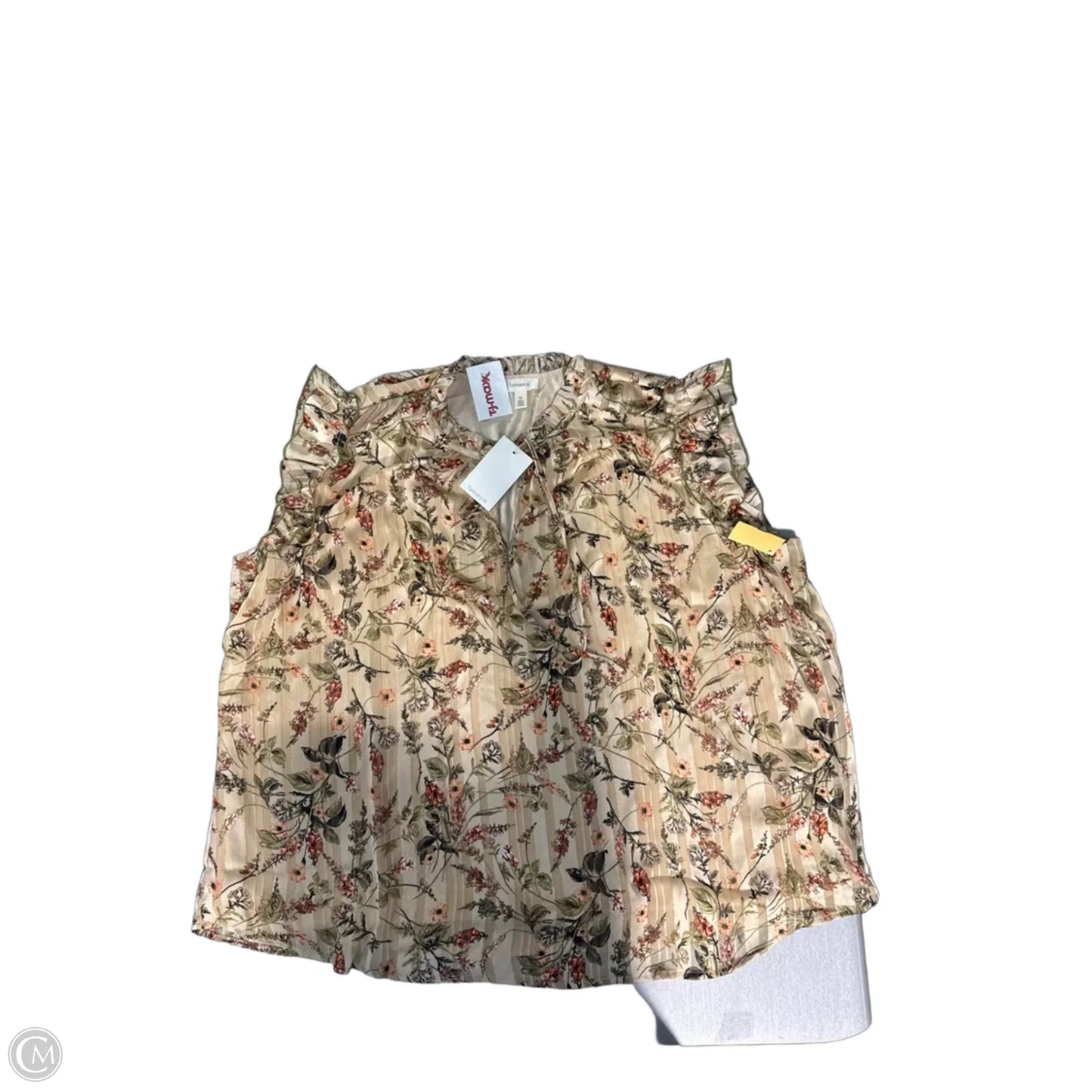Top Sleeveless By Tamara H In Beige, Size: 3x