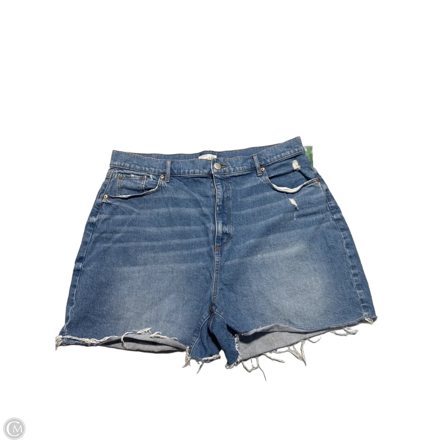 Shorts By Loft In Blue, Size: 18