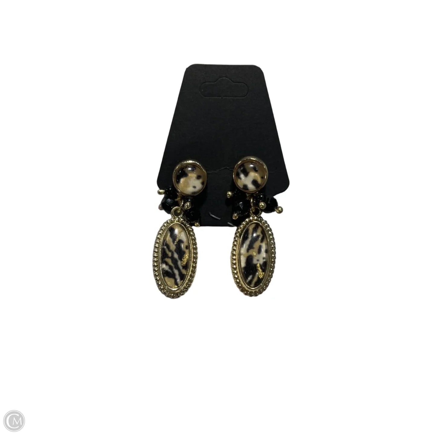 Earrings Dangle/drop By Chicos