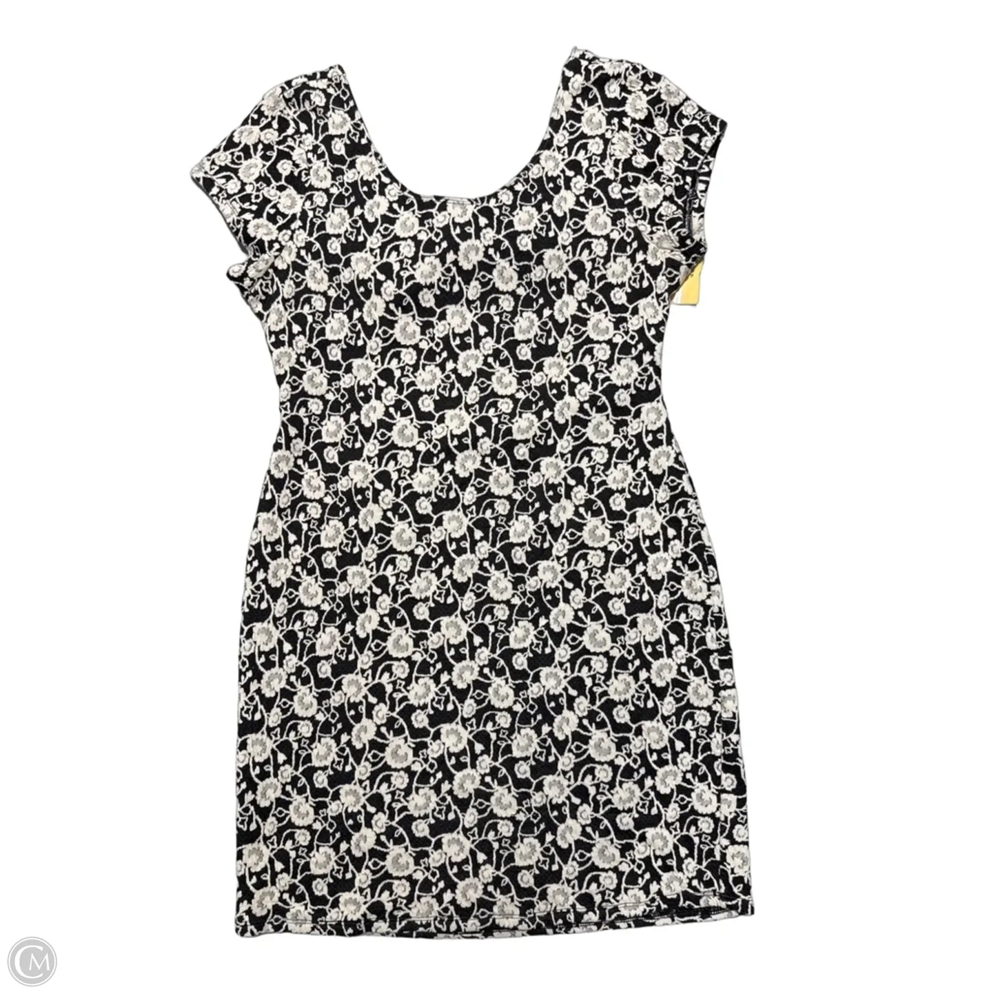 Dress Casual Short By American Rag In Black & White, Size: Xl