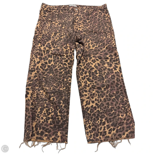Pants Chinos & Khakis By Abercrombie And Fitch In Animal Print, Size: 18