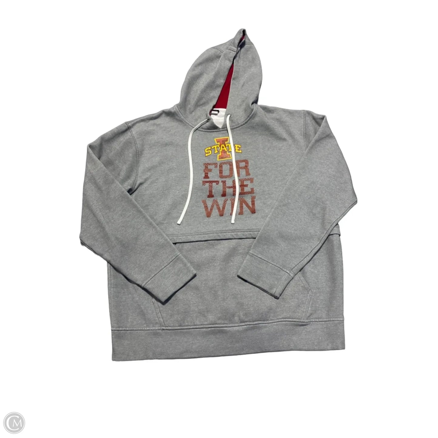 Sweatshirt Hoodie By Authentic In Grey, Size: L