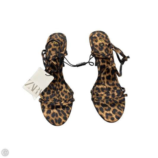 Sandals Heels Stiletto By Zara In Animal Print, Size: 8.5