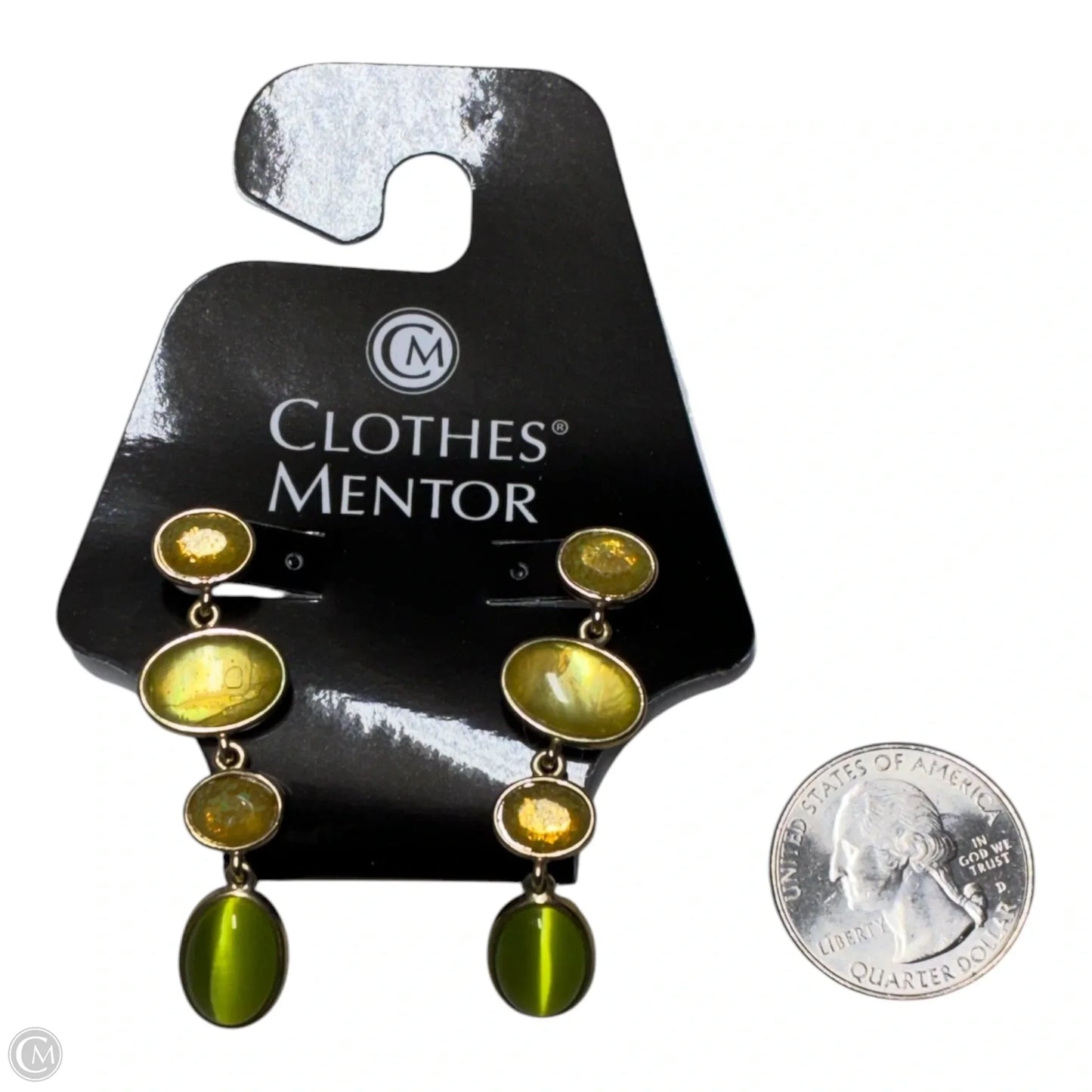 Earrings Dangle/drop By Clothes Mentor