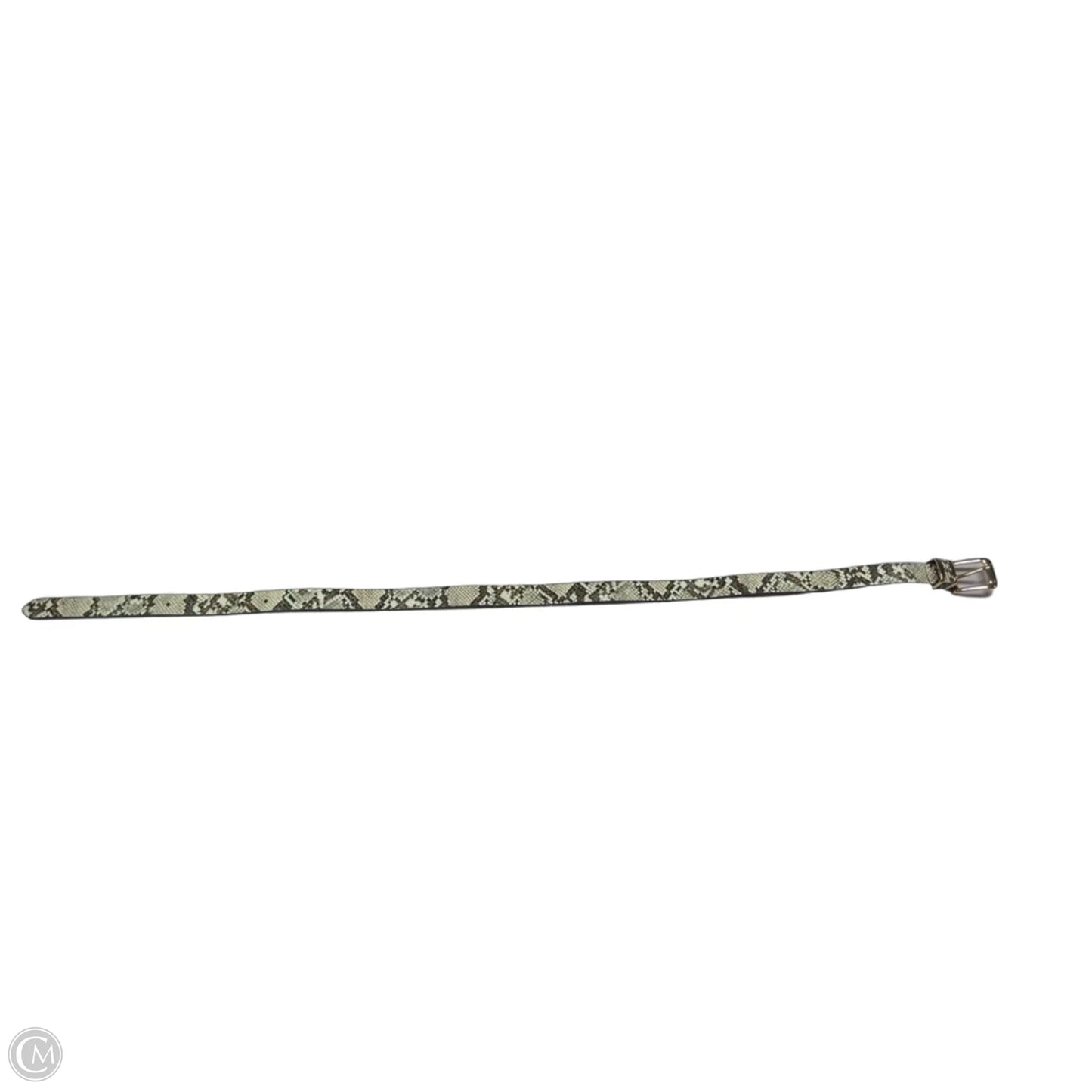 Belt By Clothes Mentor