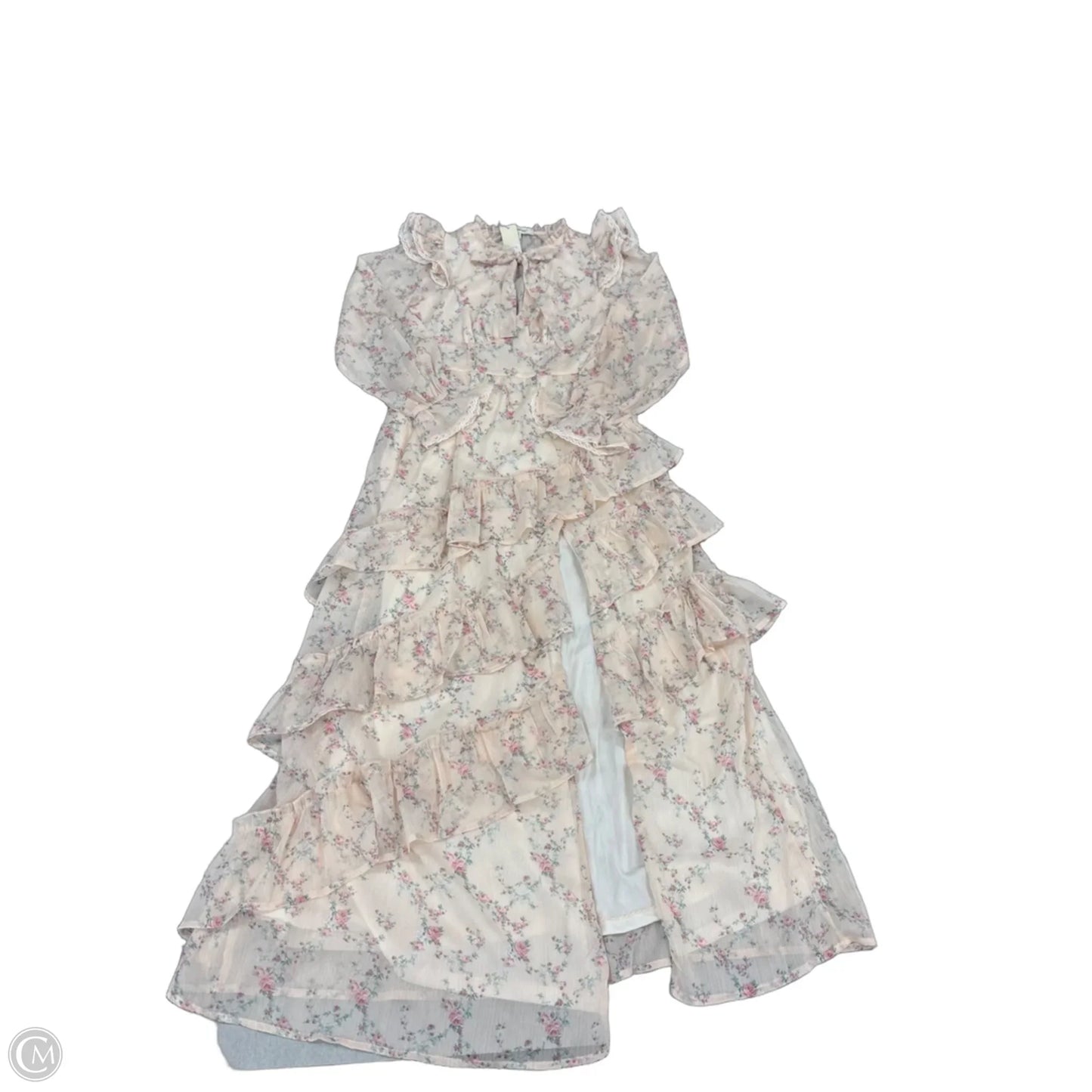 Dress Casual Maxi By Francesca?s In Floral Print, Size: Xs