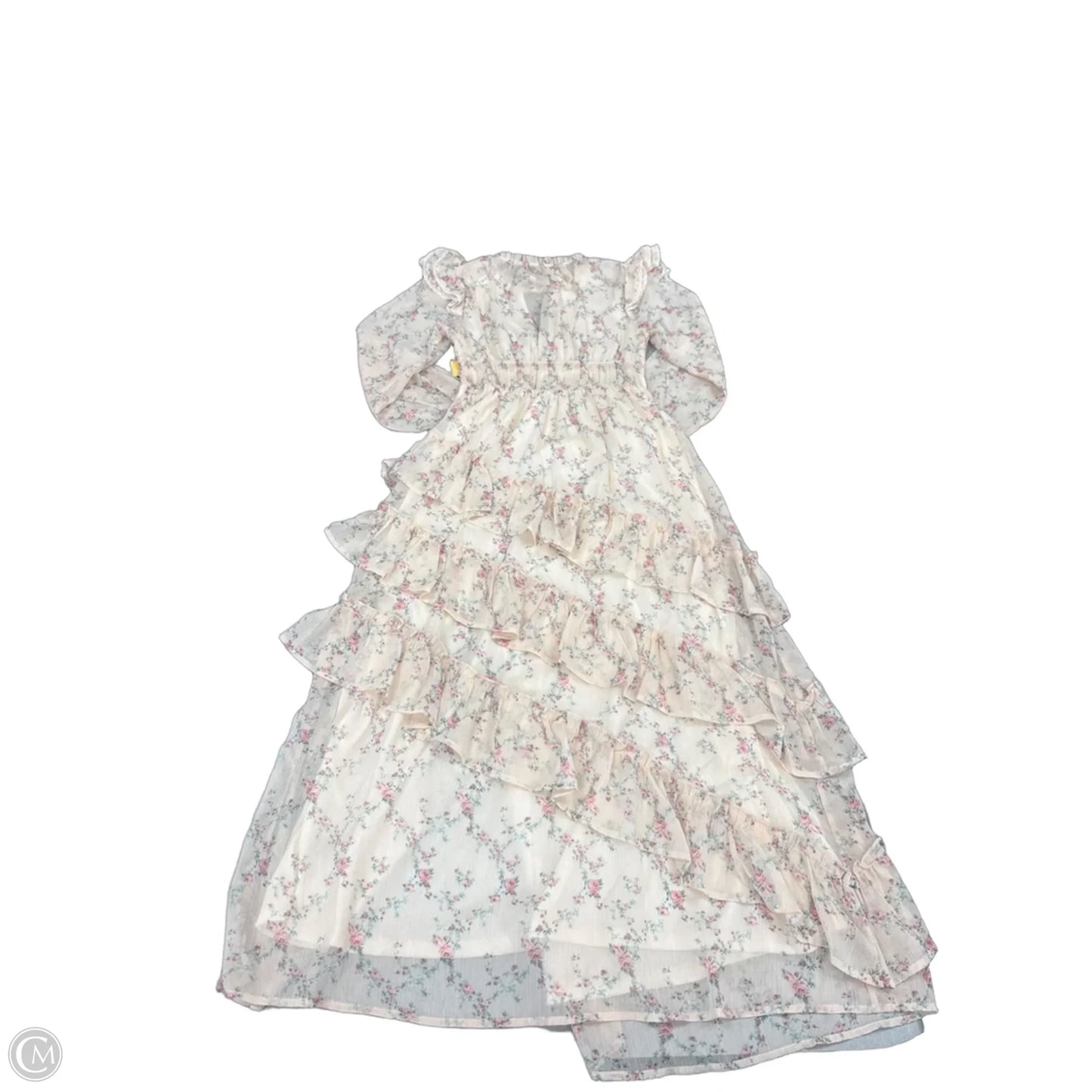 Dress Casual Maxi By Francesca?s In Floral Print, Size: Xs