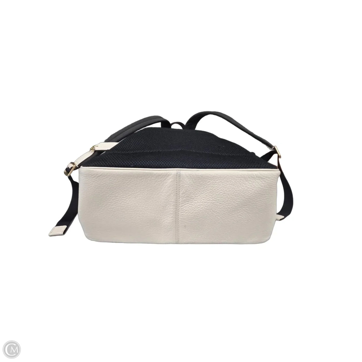 Backpack Designer By Coach, Size: Medium