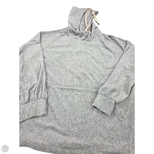 Sweatshirt Hoodie By White Birch In Grey, Size: 2x