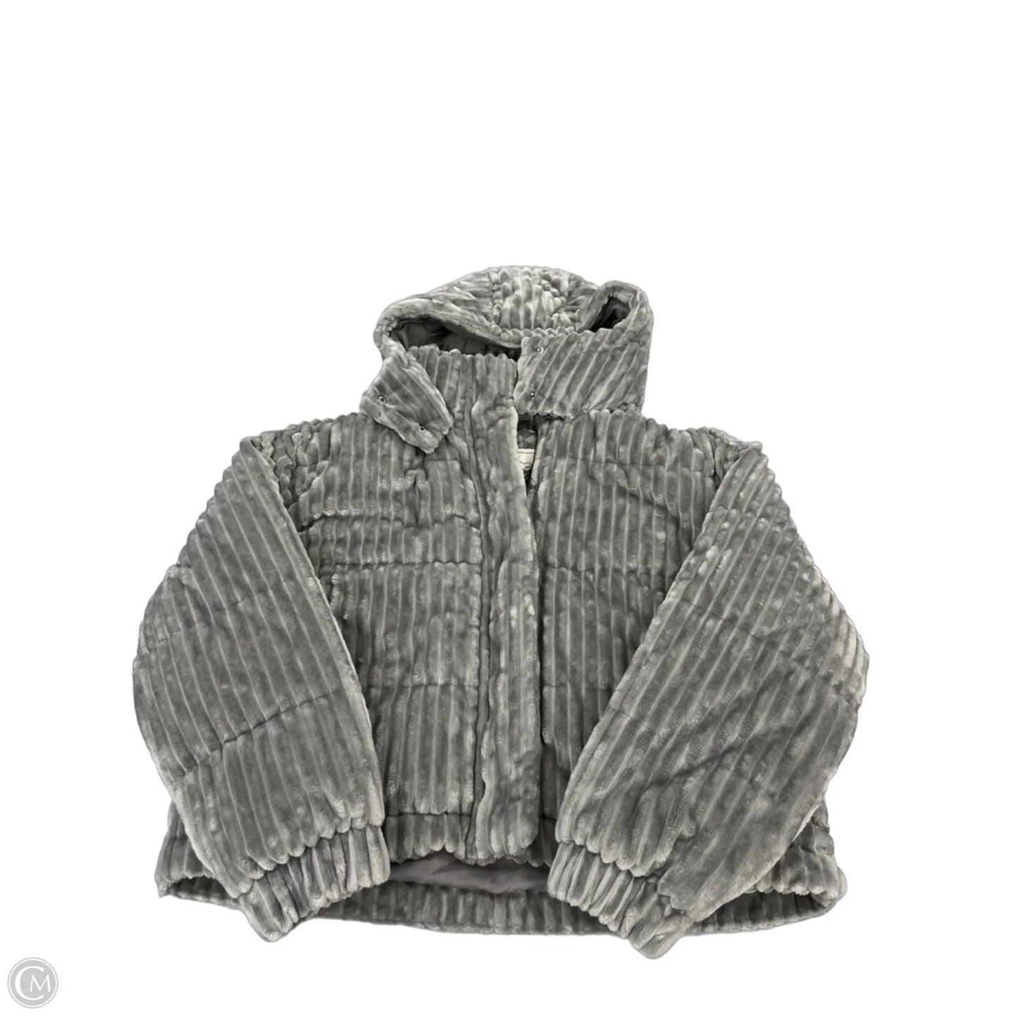 Coat Other By American Eagle In Grey, Size: L
