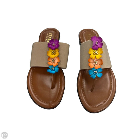 Sandals Flip Flops By Italian Shoemakers In Brown, Size: 8
