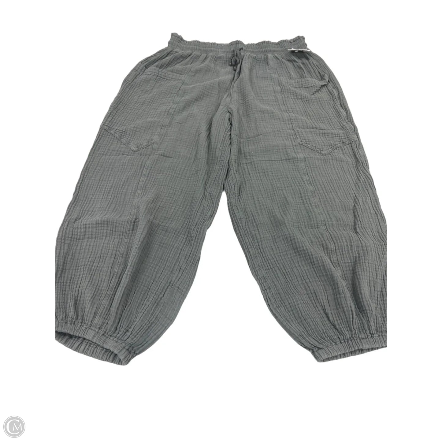 Pants Lounge By Aerie In Grey, Size: 12