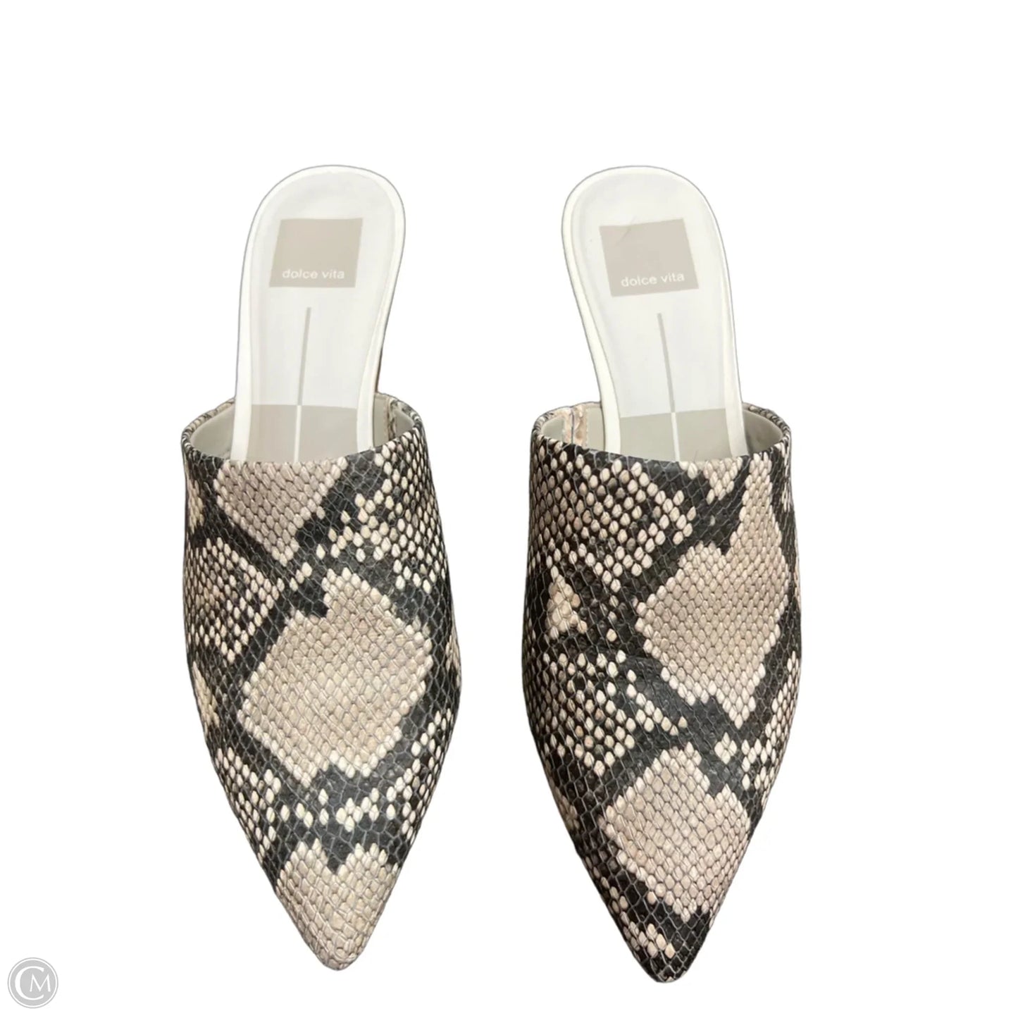 Shoes Heels Kitten By Dolce Vita In Snakeskin Print, Size: 7