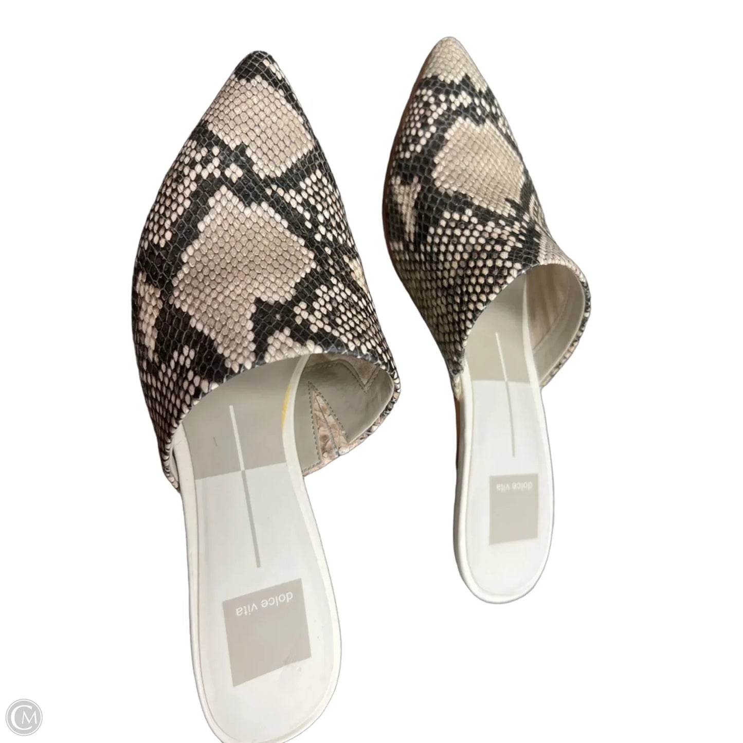 Shoes Heels Kitten By Dolce Vita In Snakeskin Print, Size: 7