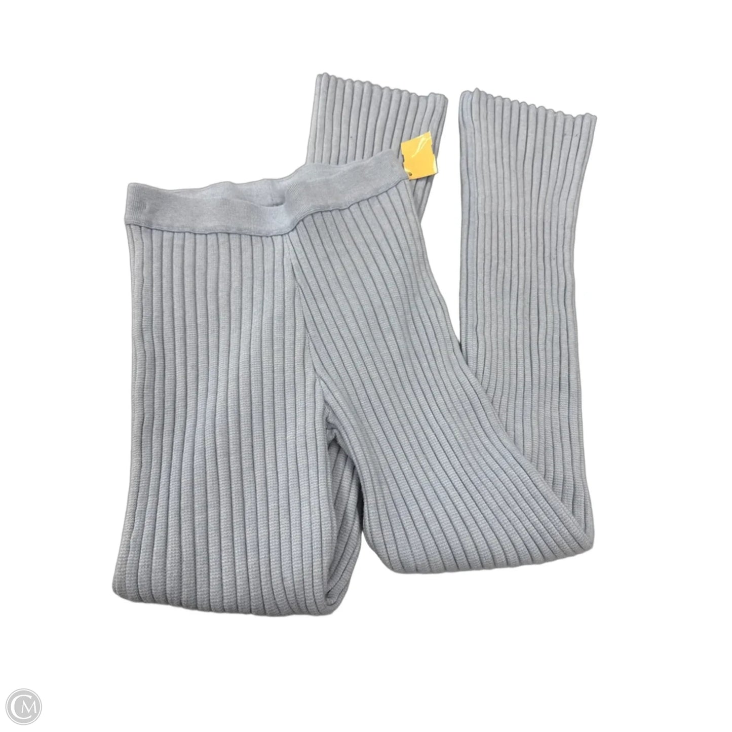 Pants Set 2pc By Aerie In Blue, Size: Xs