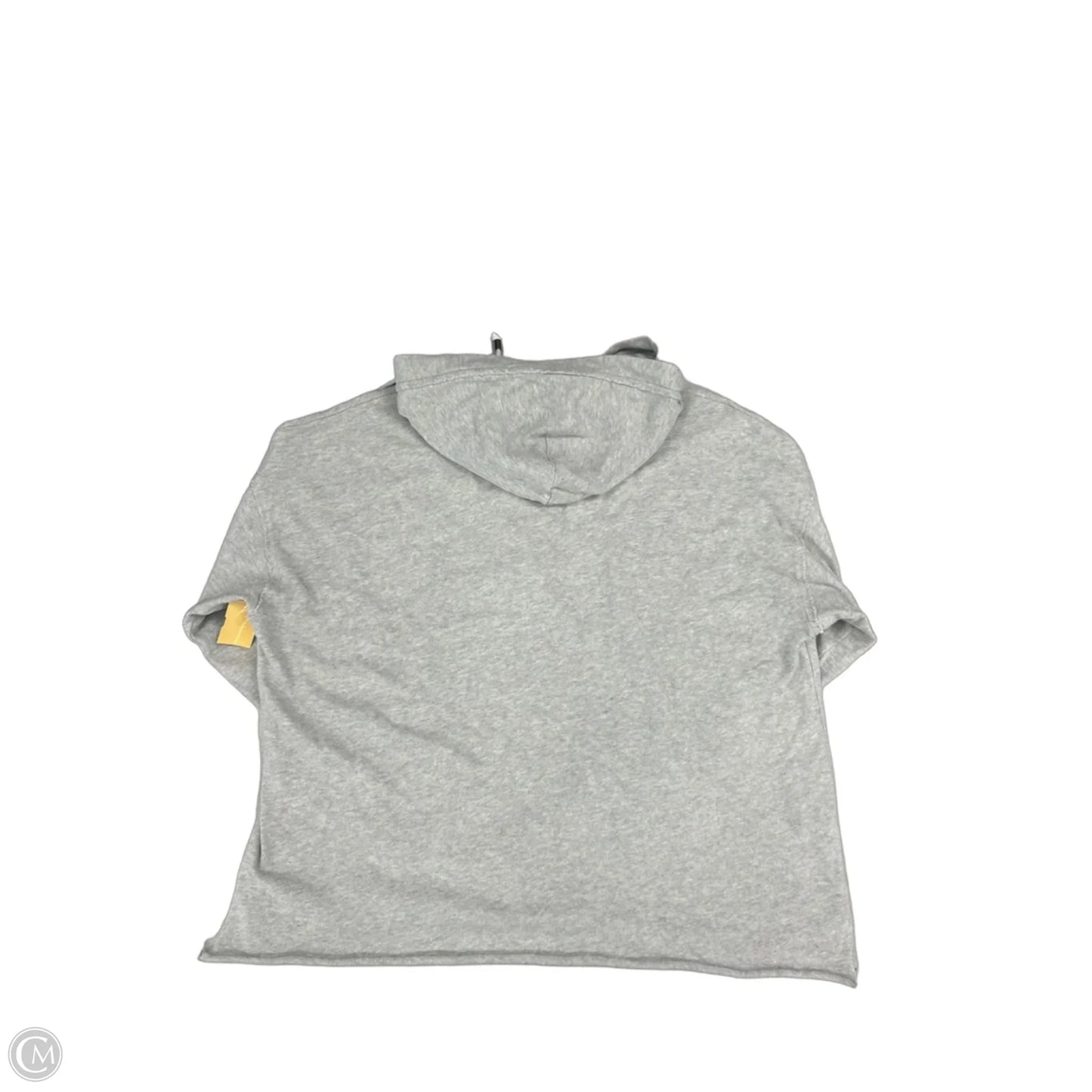 Sweatshirt Hoodie By Aerie In Grey, Size: Xs
