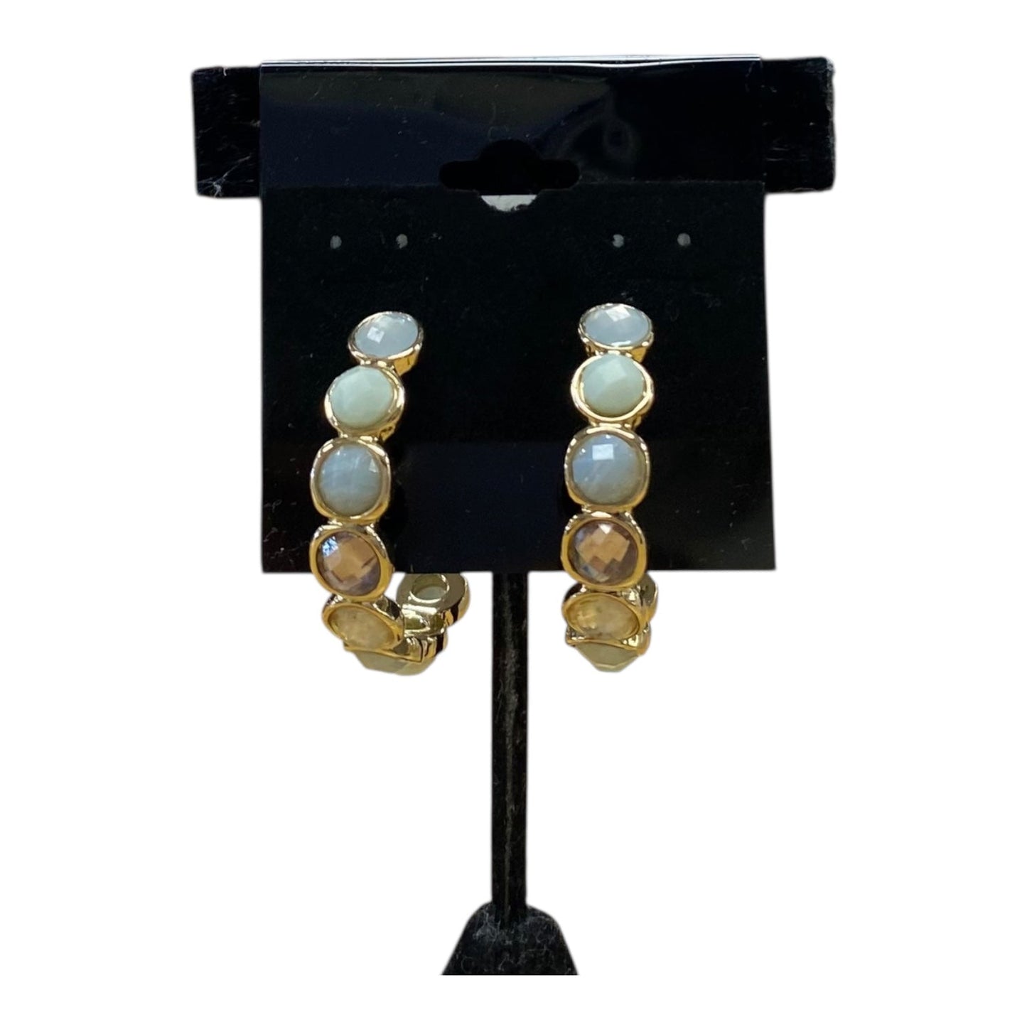 Earrings Hoop  In Gold